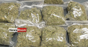 News Room : Vaddukoddai search yields huge haul of Kerala cannabis – The Island