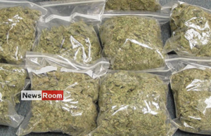 News Room : Vaddukoddai search yields huge haul of Kerala cannabis – The Island