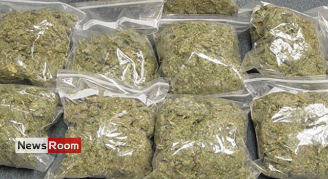 News Room : Vaddukoddai search yields huge haul of Kerala cannabis – The Island News Room Vaddukoddai search yields huge haul of Kerala