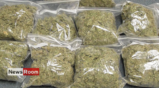 News Room : Vaddukoddai search yields huge haul of Kerala cannabis – The Island