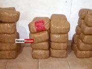 News Room : Navy apprehend Kerala cannabis valued over Rs. 54 million in northern waters News Room Navy apprehend Kerala cannabis valued over Rs