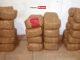 News Room Navy apprehend Kerala cannabis valued over Rs