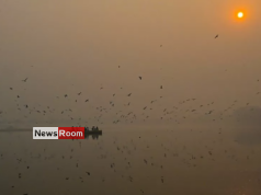 News Room : Schools shut as air quality turns severe in Delhi