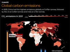 News Room : UN COP28: What to know about the climate summit in Dubai