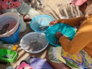 News Room : Sri Lanka to probe ‘corruption’ in handling of 2021 cargo ship disaster – The Island News Room Sri Lanka to probe ‘corruption in handling