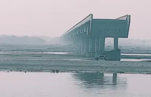 News Room A fatal car crash in India sparks.webp