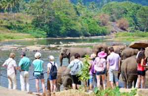 News Room Significant 59 jump in earnings from tourism