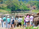 News Room : Significant 59% jump in earnings from tourism in first 10 months of this year – The Island News Room Significant 59 jump in earnings from tourism