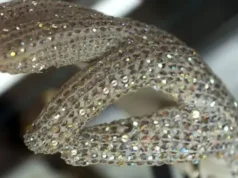 News Room : Why massive sex tape leak could be a ploy for power in Equatorial Guinea – The Island