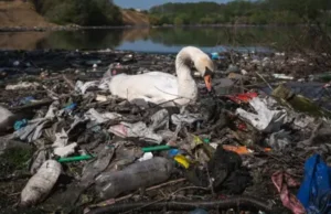 News Room Global plastic talks collapse as oil states.webp