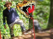 News Room Sri Lankas Struggle with Snakebite and Corruption.webp