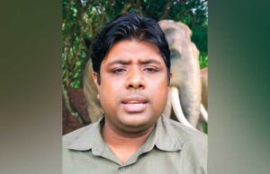 News Room : Environmentalists say 150 elephants trapped without food – The Island