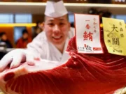 News Room : Motorbike-sized tuna sold to Tokyo sushi restaurateurs for $1.3m News Room Motorbike sized tuna sold to Tokyo sushi restaurateurs.webp