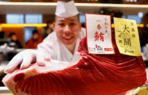 News Room : Motorbike-sized tuna sold to Tokyo sushi restaurateurs for $1.3m
