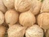 News Room Coconut auction volumes down
