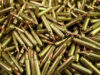 News Room Police Seize 123 Live Rounds of Ammunition