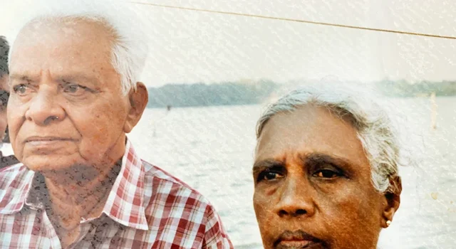 News Room Fingers or forks.webp