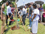 News Room : First phase of the Urban Forest Project under the ‘Clean Sri Lanka’ programme launched – The Island News Room First phase of the Urban Forest Project
