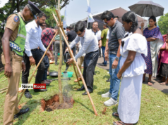 News Room : First phase of the Urban Forest Project under the ‘Clean Sri Lanka’ programme launched – The Island