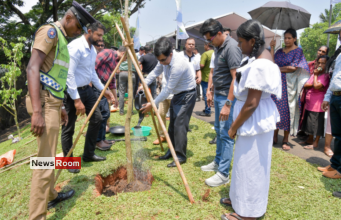 News Room : First phase of the Urban Forest Project under the ‘Clean Sri Lanka’ programme launched – The Island News Room First phase of the Urban Forest Project