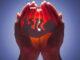 News Room : Govt. to legislate for abortion on medical grounds News Room Govt to legislate for abortion on medical