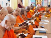 News Room Pathfinder Foundation completes Preliminary Phase of Pali.webp