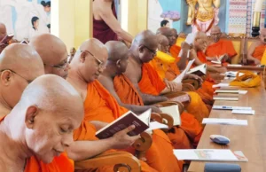 News Room Pathfinder Foundation completes Preliminary Phase of Pali.webp