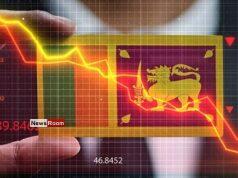 News Room : Sri Lanka’s Economy Grows by 5.0% in 2024, Rebounding from Crisis