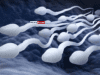 News Room Sri Lankas First Sperm Bank at a