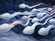 News Room Sri Lankas First Sperm Bank at a