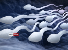 News Room : Sri Lanka’s First Sperm Bank at a State Hospital Established at Castle Street Hospital for Women