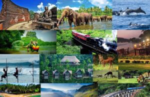 News Room Sri Lankas Tourism Booms with USD 4007