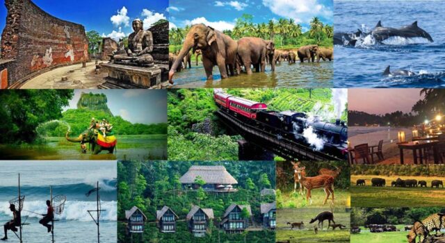 News Room : Sri Lanka’s Tourism Booms with USD 400.7 Million in January Earnings News Room Sri Lankas Tourism Booms with USD 4007