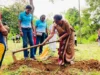 News Room SL Olympians conduct tree planting programme.webp