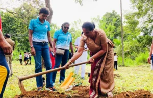 News Room : SL Olympians conduct tree planting programme News Room SL Olympians conduct tree planting programme.webp