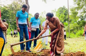 News Room SL Olympians conduct tree planting programme.webp