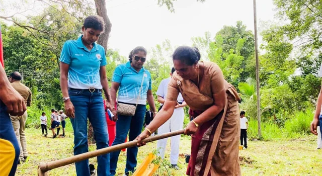 News Room : SL Olympians conduct tree planting programme News Room SL Olympians conduct tree planting programme.webp