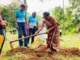 News Room SL Olympians conduct tree planting programme.webp