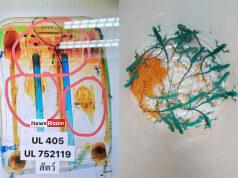 News Room : Sri Lankan Man Caught Smuggling Live Animals at Thailand Airport