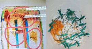 News Room : Sri Lankan Man Caught Smuggling Live Animals at Thailand Airport