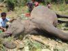 News Room Seven Court Cases Across SL Over Brutal