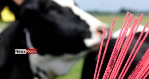 News Room : Sri Lanka to Import Sexed Bovine Semen – Dy Minister Namal Karunaratne