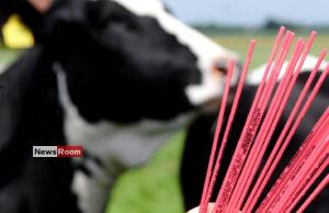 News Room : Sri Lanka to Import Sexed Bovine Semen – Dy Minister Namal Karunaratne News Room Sri Lanka to Import Sexed Bovine Semen