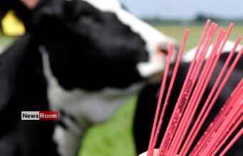 News Room : Sri Lanka to Import Sexed Bovine Semen – Dy Minister Namal Karunaratne News Room Sri Lanka to Import Sexed Bovine Semen