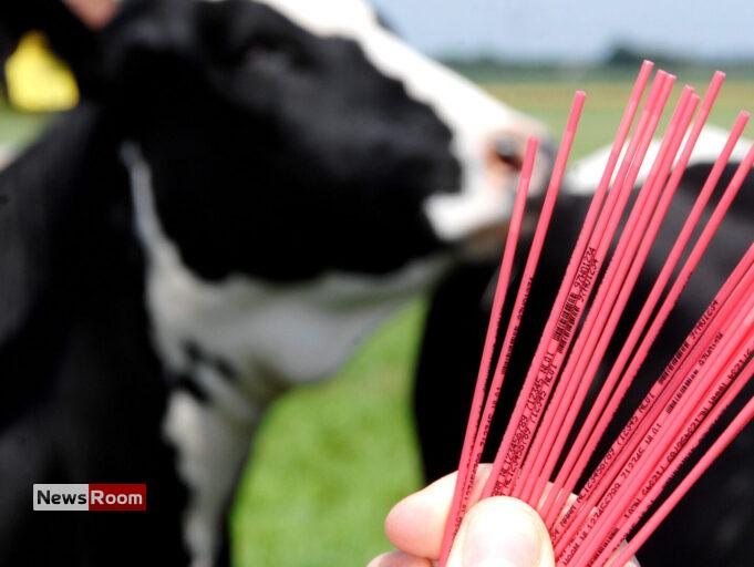 News Room : Sri Lanka to Import Sexed Bovine Semen – Dy Minister Namal Karunaratne