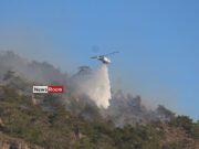 News Room Wildfire on Greek island of Crete forces