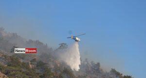 News Room : Wildfire on Greek island of Crete forces evacuation of 1,500