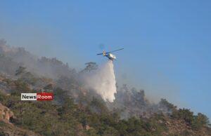 News Room Wildfire on Greek island of Crete forces