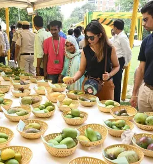 News Room : Are mangoes good for diabetes? Indian studies challenge conventional wisdom News Room Are mangoes good for diabetes Indian studies.webp