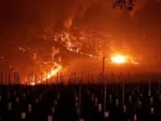 News Room Climate change pushing winemakers to blend wines.webp
